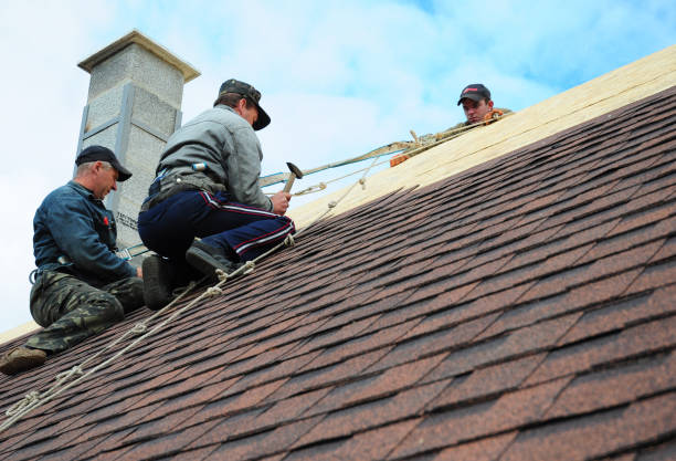 Best Roof Gutter Cleaning  in Roselawn, IN