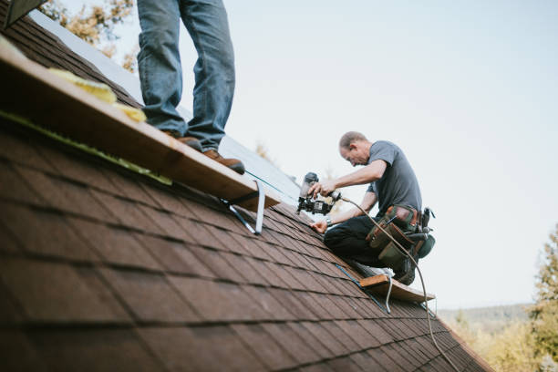 Best Roof Gutter Cleaning  in Roselawn, IN